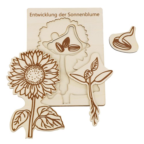 Puzzle cycle vie tournesol - du,