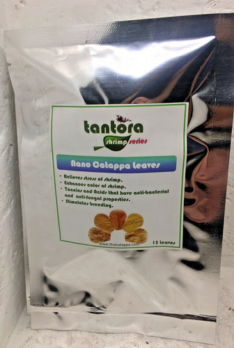 Tantora nano catappa 12cm 15 - nano,