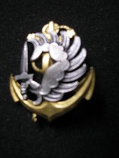 INSIGNE DE BÉRET, PARA TAP