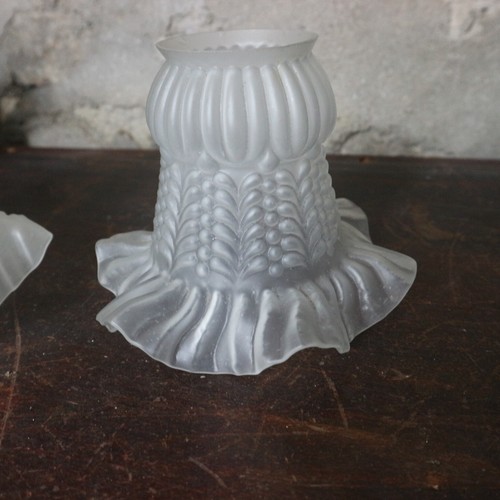 Ancienne tulipe globe - tulipe,