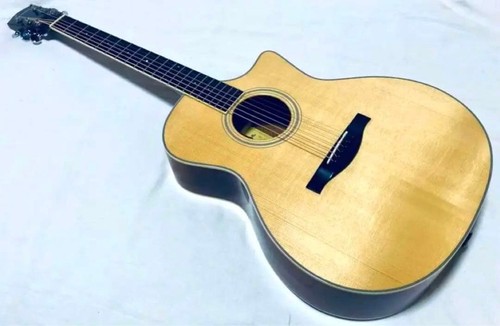 Guitare électrique acoustique