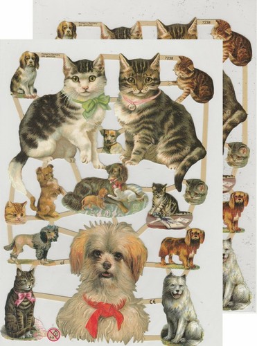 Chromo découpis chat - découpis, &