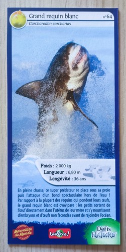 Carte merveilles monde - carte,