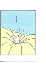 RARE / PETITE IMAGE ANCIENNE -