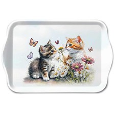 Mini plateau chatons et