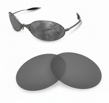 Verres polarisés de