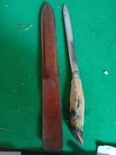 taxidermie chasse chevreuil