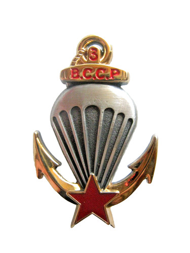 Insigne parachutiste - insigne, 3°