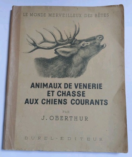 Animaux vénerie chasse - animaux,