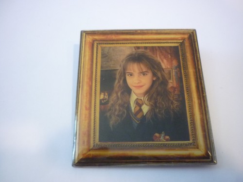 Harry potter portrait pin - harry,