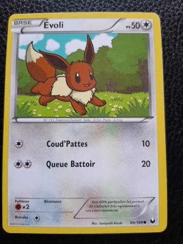 Carte pokemon evoli - carte,
