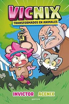 Vicnix transformados - , en