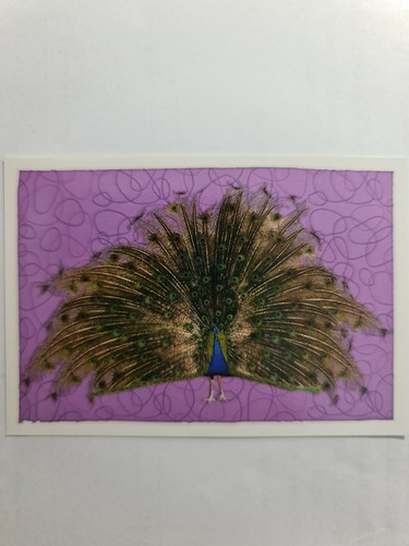Image sticker autocollant