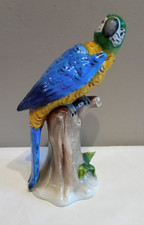 Perroquet Porcelaine Ancienne Sitzendorfs porcelaine allemande 
