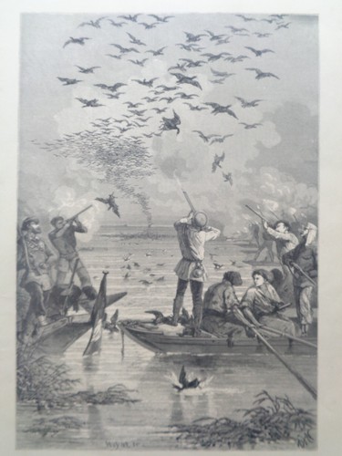 Grande gravure ancienne chasse - gravure,