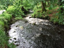 Photo 6x4 The Bayhead River