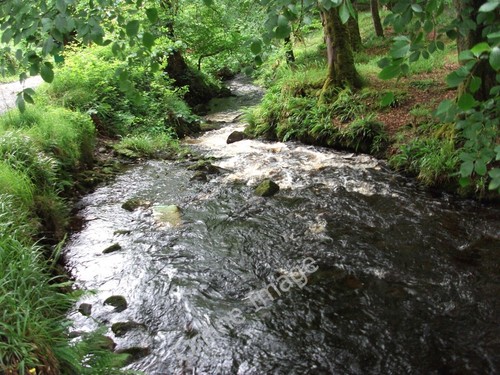 Photo 6x4 the bayhead river - bayhead,