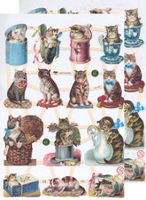Chromo EF Découpis Chat 7360