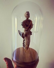 Cabinet de curiosités