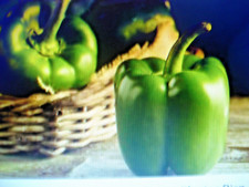 40 graines de Poivron vert California Wonder -