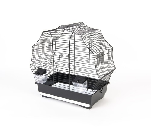 Cage oiseaux noir - À,