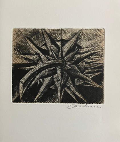 Brigitte coudrain gravure - coudrain,