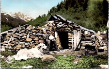 65 LES PYRENEES - cabane de