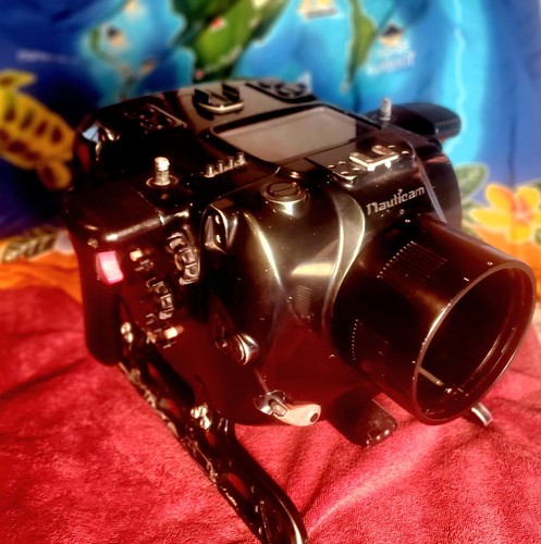 Nauticam housing with red epic - nauticam,