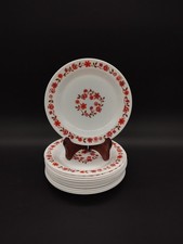 Lot de 11 assiettes à dessert Arcopal – fleurs rouges et roses – verre opalin –