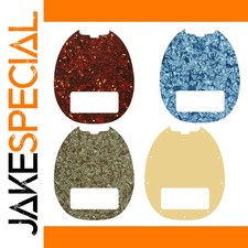 JakeSpecial – Music Man Stingray Classic 5-String Pickguard
