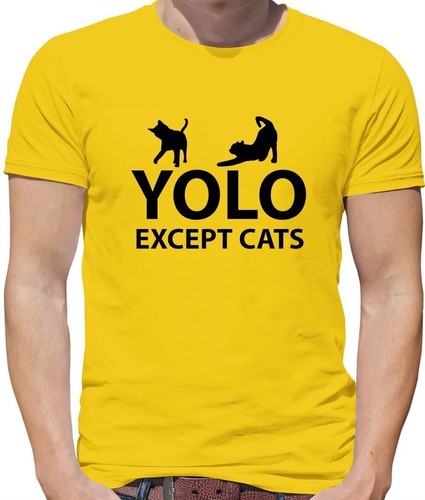 Yolo sauf chats - sauf,