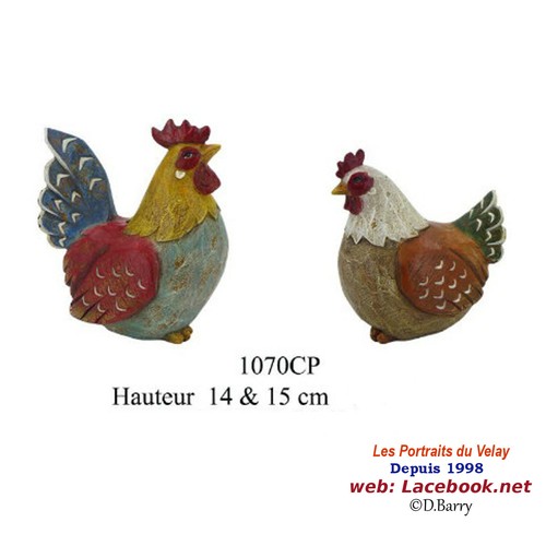 Poules coqs - poules,