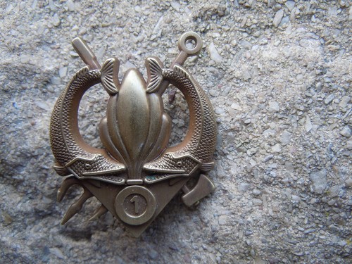 Legion genie brevet - ., .