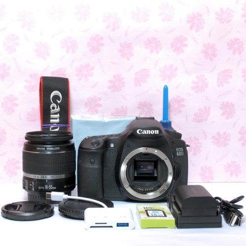 Appareil photo reflex