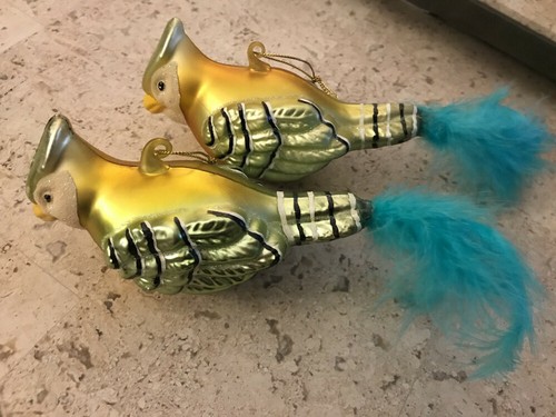 Blown glass bird ornaments - blown,