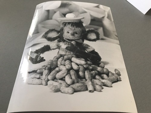 Pépin bulle photo - la,