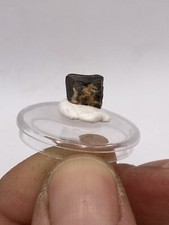 0,39'' / 1 cm - Colorfull