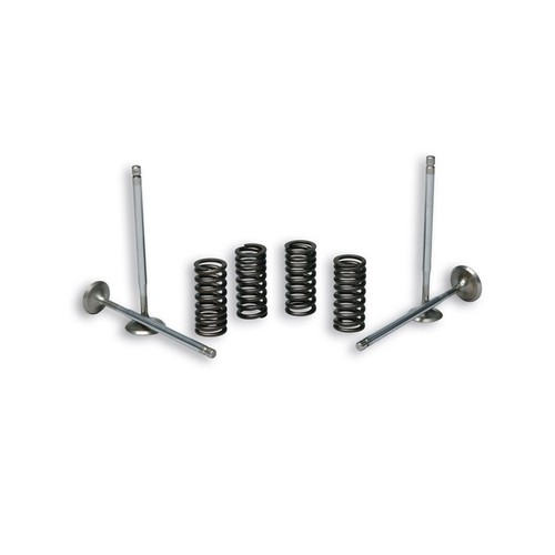 Vannes moteur malossi pour - vannes,