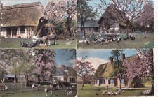 Lot de 4 cartes postales