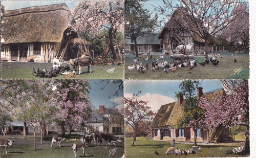 Lot cartes postales - de,