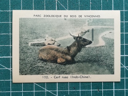 Vr299 chromo parc zoologique