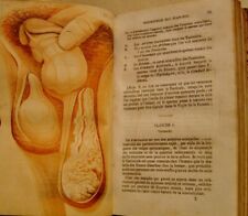 CURTIS J.L. - DE LA VIRILITE