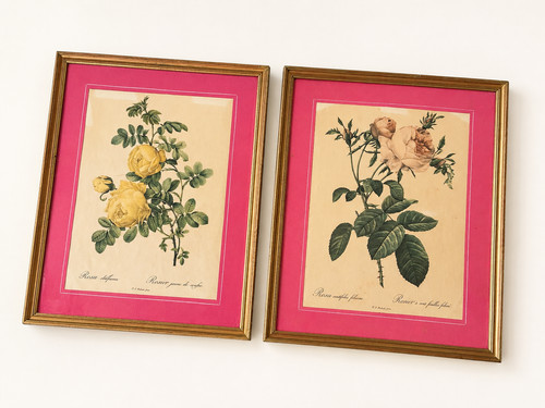 Paire illustration planches - d'illustration,