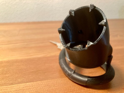 Spiked cockring for - cbt, and