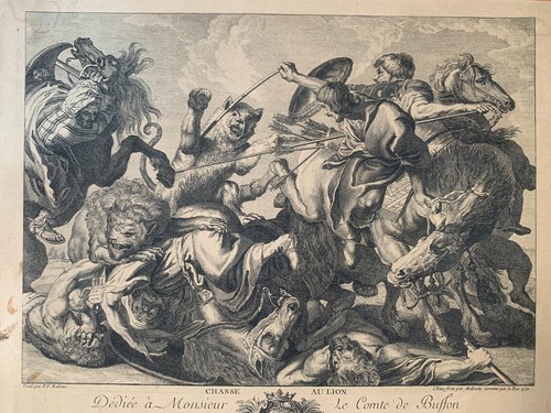 Rubens chasse lion eau - -,