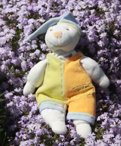 Doudou compagnie ours - doudou,