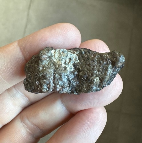 Nwa 10305 meteorite - nwa,