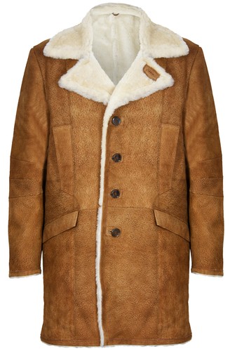 Homme fauve marron chaud - homme,