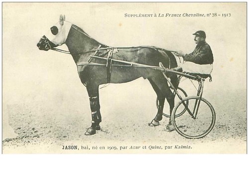 hippisme.n°35952.jason.1913.b