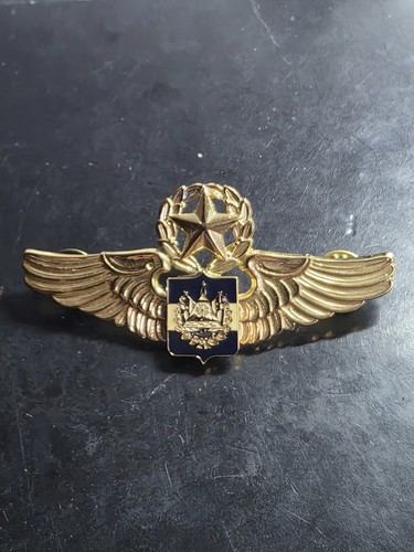 Aviation aile de pilote - aile,